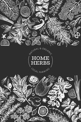 Wall Mural - Culinary herbs banner template. Hand drawn vintage botanical illustration on chalk board. Engraved style. Vintage food background.