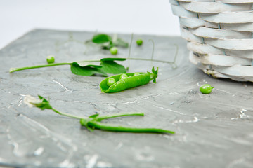 White Basket with fresh green peas on grey background.