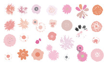 Vector Flowers Collection. Vector Isolated Elements On The White Background.