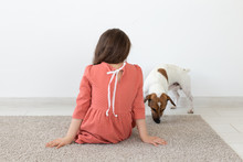 Rear View Of A Little Girl In A Red Polka Dot Dress Sitting On The Floor Next To Her Beloved Dog Jack Russell Terrier On A White Background. The Concept Of Children's Products.