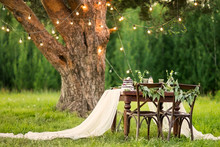 Wedding Banquet In The Field At The Pine Tree. Chairs And Honeymooners Table Decorated, Served With Cutlery And Crockery And Covered With A Tablecloth