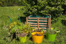 Image Of Compost Bin In The Garden