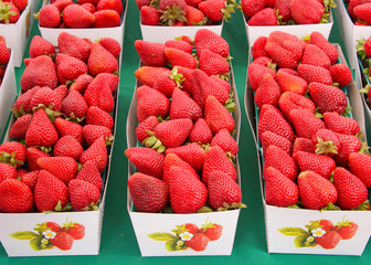 Baskets of fresh ripe strawberries for sale at Farmers Market. The fruit is widely appreciated for its characteristic aroma, bright red color, juicy texture, and sweetness.