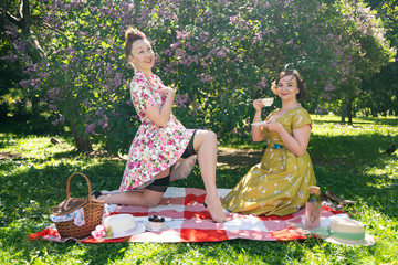 Wall Mural - two pretty pin up ladies having nice picnic in the city park in a sunny day together. girls friends enjoy hot summer weather. beautiful females in retro vintage style are relaxing on the grass.