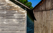 © Jorge Moro - warm morning light on two old farm sheds