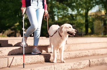 Guide dog helping blind person with long cane going down stairs outdoors