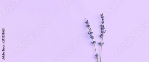 bouquet of violet lilac purple lavender flowers arranged on table background Canvas Print