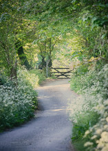Country Lane With Wild Flowers And Gate In Spring