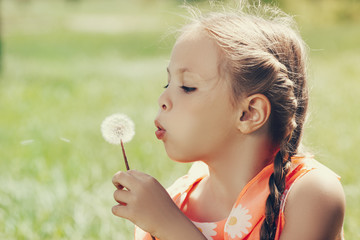 Wall Mural - blow on a dandelion