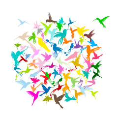 Poster - Colibri collection, sketch for your design