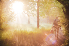 Man Walks In Park In Morning Sunlight. Back View On Man On Sunrise. Sunbeams And Lens Flare With Copy Space. Blurry Sunny Background. Bright Sun Shines Through Trees Leaves On Sunset. Blurred Backdrop