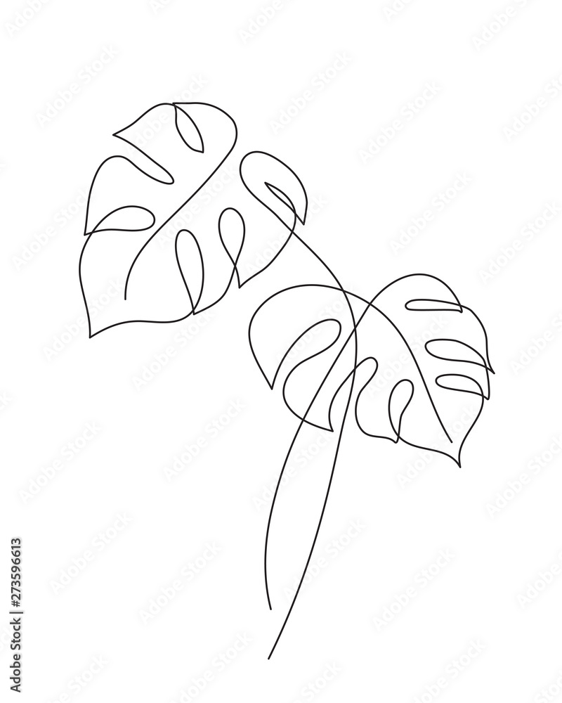 Monstera Tropical leaf continuous line drawing. Editable vector line.  Botanical logo, icon, label, symbol. Stock Vector | Adobe Stock