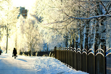 Fence Covered Snow Winter Park