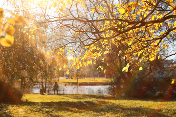 Autumn background in the park