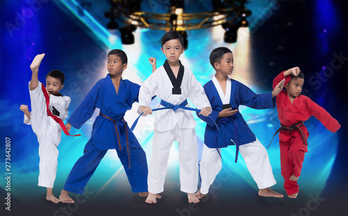 Dekoracja na wymiar  grupa-pieciu-5-czerwony-niebieski-ii-pas-dzieciecy-taekwondo