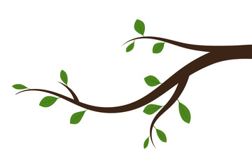 Tree branch with green leaves. Vector illustration.