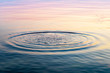 Circles on the water. Wet texture.