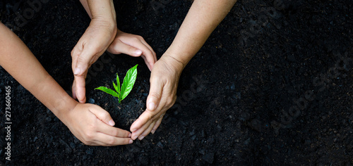 Cuadros en Lienzo environment Earth Day In the hands of trees growing seedlings