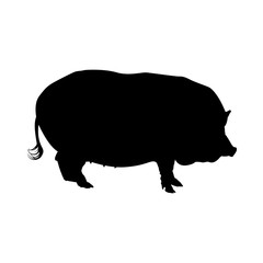 Wall Mural - Pig Silhouette