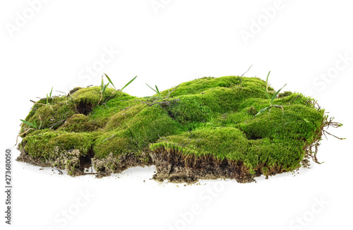 Fotomural Green moss with grass isolated on a white background