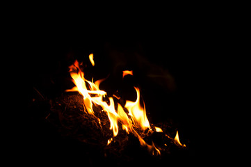 Fire flames on a black background