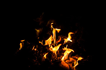 Fire flames on a black background