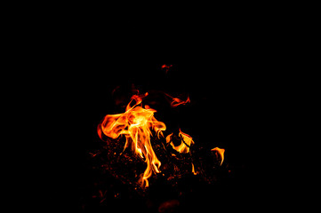 Fire flames on a black background