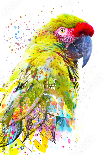 Obrazy papugi  malowanie-podwojna-ekspozycja-zdjecia-tropikalnej-papugi-w-polaczeniu-z-kolorowym-recznie-rysowanym-rysunkiem