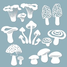 Set Templates Mushrooms For To Cut With A Laser From Paper. White Mushroom, The Fly Agaric, Chanterelles, Volnushki, Mushrooms, Morels. For Decoration And Design. Laser Cut. Vector Illustration. Patte