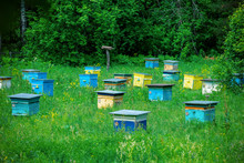 Hives In An Apiary In A Spring Garden. Honey Business Concept.  Shulgan-Tash Nature Reserve.