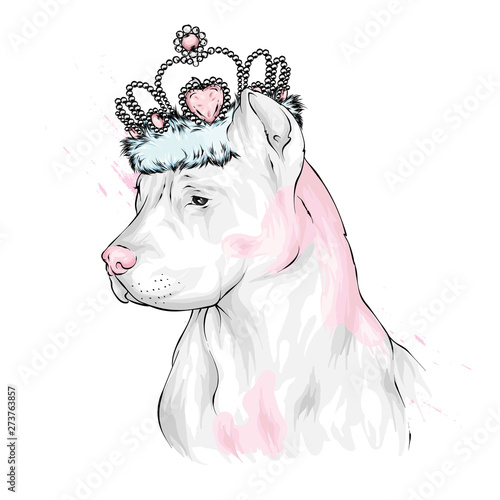 pedigree for pitbull puppy