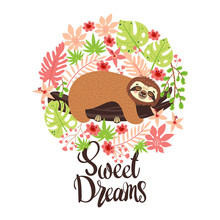Sloth On The Branch. Vector Illustration With Frame Of Leaves, Flowers And Lettering Sweet Dreams On White Background. Greeting Card In Tropical Style.