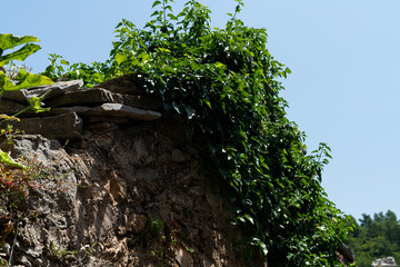 Wall Mural - The island of Hvar