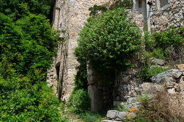 Wall Mural - The island of Hvar