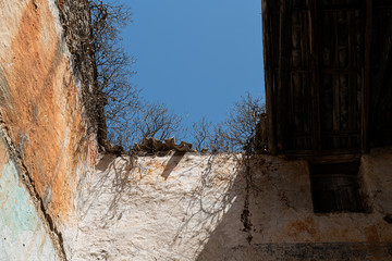 Wall Mural - The island of Hvar