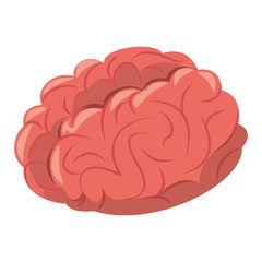 Sticker - Human brain intelligence symbol cartoon isolated