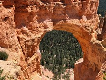 Close Up Of The Natural Bridge, An 85-foot Arch Carved Out Of Sedimentary Red Rock At Bryce Canyon National Park In Utah.