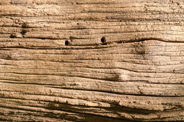 old wood texture