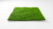 3D rendering illustration top view square green grass field isolated background
