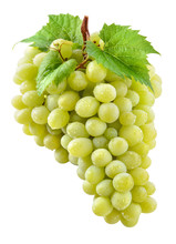 Green Grape. Bunch Of Fresh Wet Berries With Leaves Isolated On White. With Clipping Path. Full Depth Of Field.