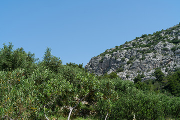 Canvas Print - The island of Hvar