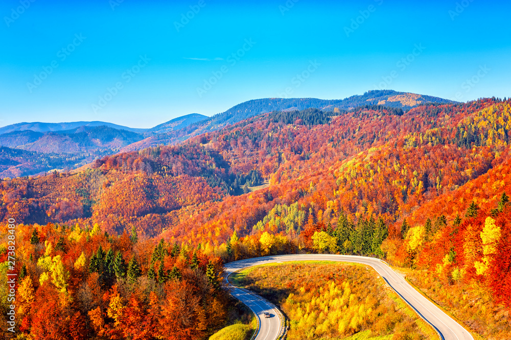 Scenic alpine winding road in autumn mountains with colorful trees and blue sky, outdoor travel background, Narodny park Slovensky Raj (National park Slovak paradise), Slovakia (Slovensko) - obrazy, fototapety, plakaty 