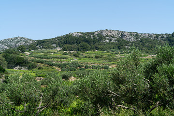 Canvas Print - The island of Hvar