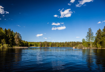 Summer landscape - lake on a Sunny summer day