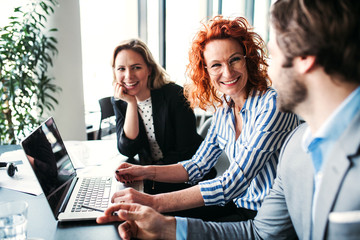 A group of young business people with laptop sitting in an office, talking.