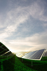 solar energy station. field with cell panel