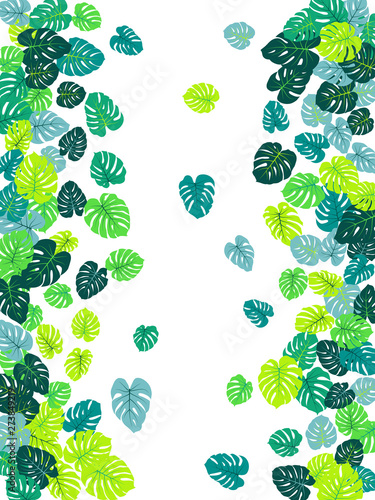 Teal tropical jungle leaves vector scatter. Philodendron or monstera plant su...
