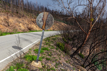 State of forests and valleys after the disaster and fires in Monchique. Portugal.