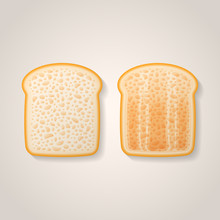 Slices Of Toast Isolated On Background. Fresh And Toasted Bread Vector Illustration.
