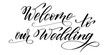 Handwritten modern brush calligraphy Welcome to our Wedding isolated on white for wedding invitation. Vector illustration.